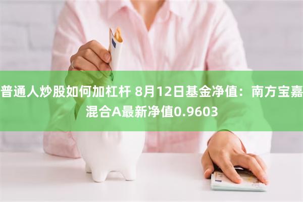 普通人炒股如何加杠杆 8月12日基金净值：南方宝嘉混合A最新净值0.9603