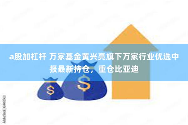 a股加杠杆 万家基金黄兴亮旗下万家行业优选中报最新持仓，重仓比亚迪