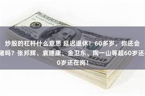 炒股的杠杆什么意思 延迟退休！60多岁，你还会去养猪吗？张邦辉、袁建康、金卫东、陶一山等超60岁还在岗！