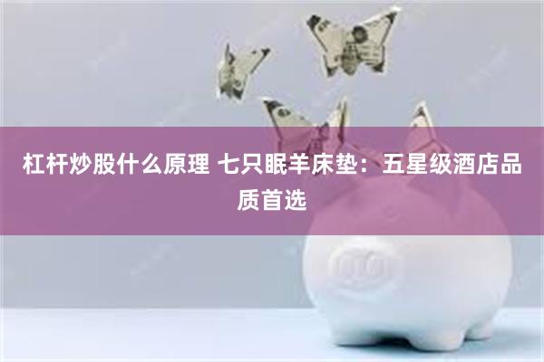 杠杆炒股什么原理 七只眠羊床垫：五星级酒店品质首选